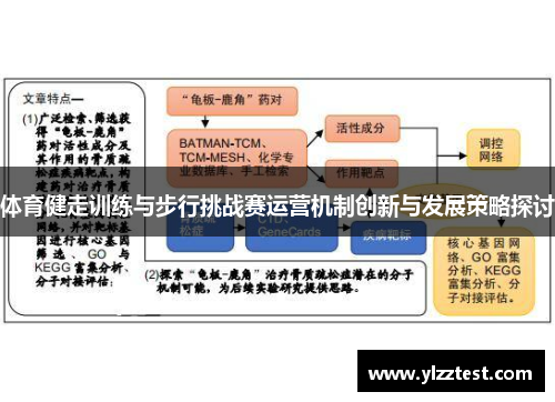 体育健走训练与步行挑战赛运营机制创新与发展策略探讨