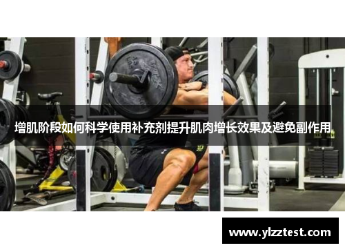 增肌阶段如何科学使用补充剂提升肌肉增长效果及避免副作用
