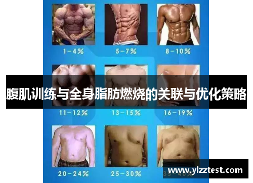 腹肌训练与全身脂肪燃烧的关联与优化策略